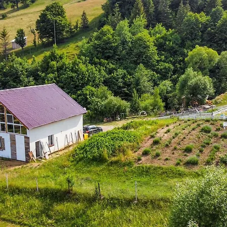 Agroturismo Agroturism Bori Punct Gastronomic Local *