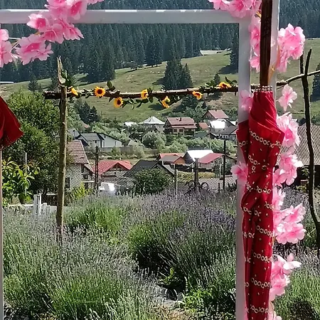 Agroturism Bori Punct Gastronomic Local Gura Humorului