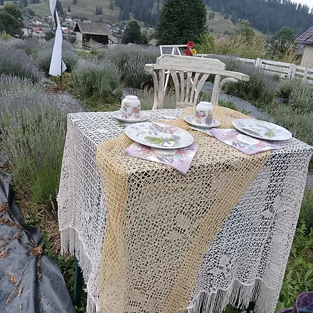 Agroturismo Agroturism Bori Punct Gastronomic Local