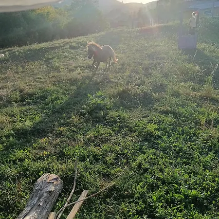 Agroturism Bori Punct Gastronomic Local * Gura Humorului